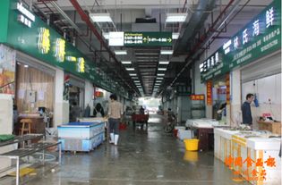 筑牢安全防線，守護(hù)舌尖健康——成都農(nóng)產(chǎn)品中心批發(fā)市場商家深入學(xué)習(xí)食品安全法與食用農(nóng)產(chǎn)品批發(fā)規(guī)范