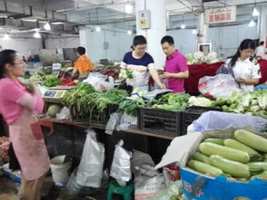 舌尖上的安全盾牌 我市全面開展食用農(nóng)產(chǎn)品批發(fā)環(huán)節(jié)食品安全抽檢